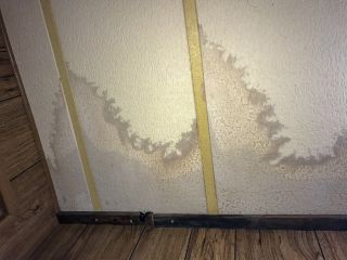 Comprehensive flood cleanup and mold remediation process in a Canoga Park home